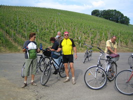 Fahrradtour am Main entlang