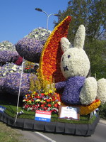 Blumencorso