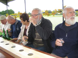 Fahrt durch den Weinberg