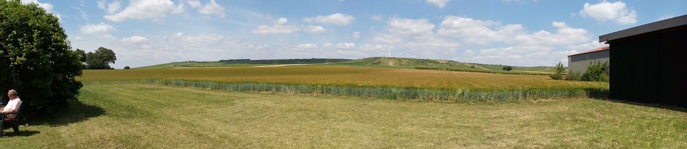 Weinbergpanorama