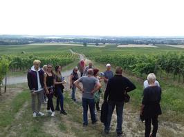 historische Weinwanderung